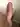 Willmeder